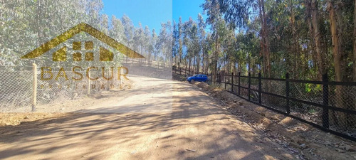 Venta De Sitio En Santa Rosa De Bucalemu