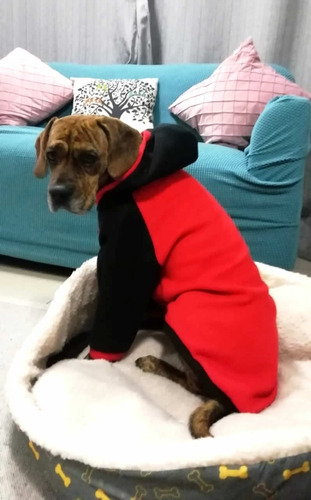 Imagen 2 de 10 de Buzo Polar Perros Grande Boxer Ovejero Pitbull Dogo Labrador