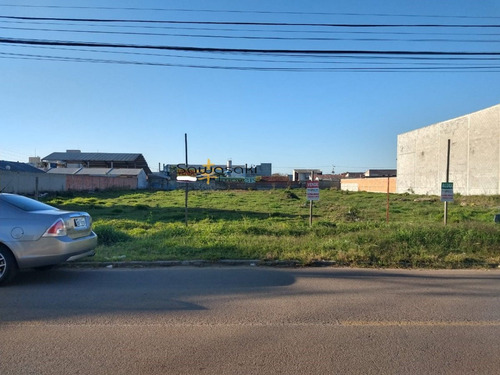 Imagem 6 de 10 de Terreno Para Alugar No Bairro Vargem Grande Em Pinhais - Pr. - 7169-2