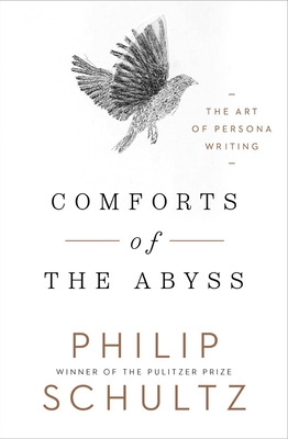 Libro Comforts Of The Abyss: The Art Of Persona Writing -...