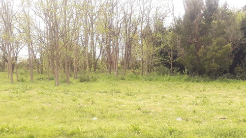 Imagen 8 de 12 de Terreno En Venta 44 Y 177- Lisandro Olmos Etcheverry