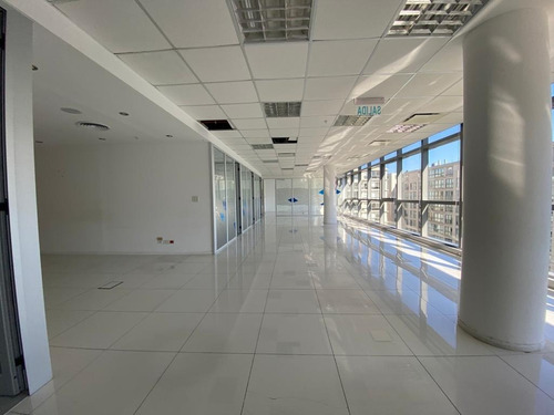 Imagen 8 de 12 de Oficina 275 M², Macacha Guemes 300, Madero Center