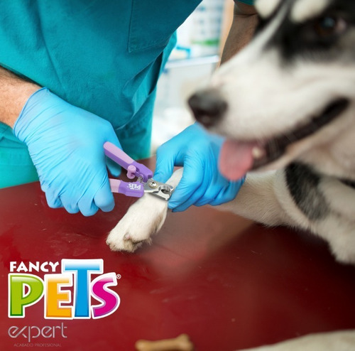 Cortauñas Con Lima Para Gato Expert Fancy Pets