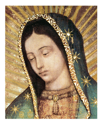Our Lady Of Guadalupe - Retrato De Medio Cuerpo Original (12