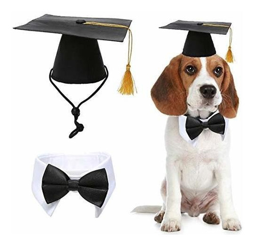 Caps De Graduación De Mascotas Farifa Con Corbata Yrv5m