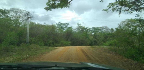 Imagen 9 de 17 de Finca En La Colonia En Yaracal Edo. Falcon