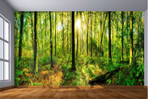 Papel De Parede Floresta Árvores Sol Luz 3d M² Xna190.