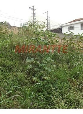 Imagem 7 de 9 de Terreno Em Imirim - São Paulo, Sp - 294403