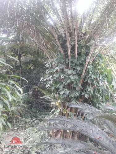 Imagem 7 de 30 de Sítio Com 6 Dormitórios Em Santíssimo-rj - Si0001