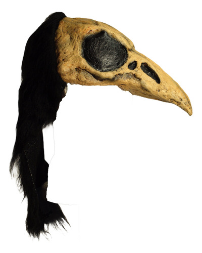 Crow Bird Helmet Gorro Cráneo De Cuervo Halloween Terror