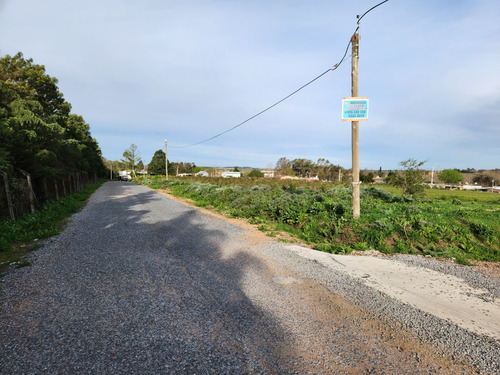 Terreno
