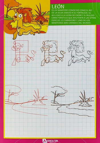 Libro Animales De Colores + Pizarra P/dibujar + Cd - Niños