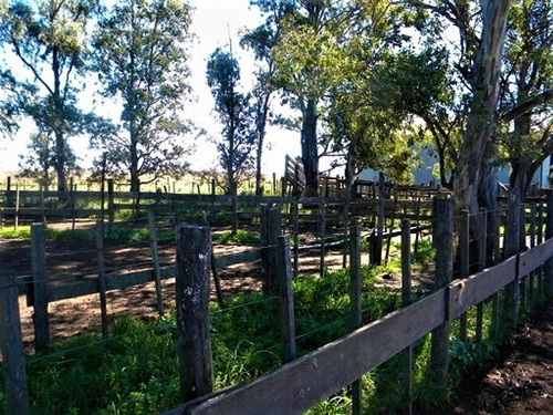 Imagen 7 de 9 de Campo De 1040 Has, Bahía Blanca, Ruta 33, Km 23 Al Oeste