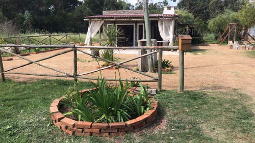 Encantadora Casa Moderna  En Alquiler En Santa Mónica Muy  Cerca De La Laguna 