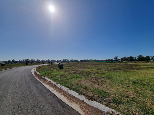 Imagen 7 de 18 de Lote En Vente En Santa Elisa Pilar Del Este