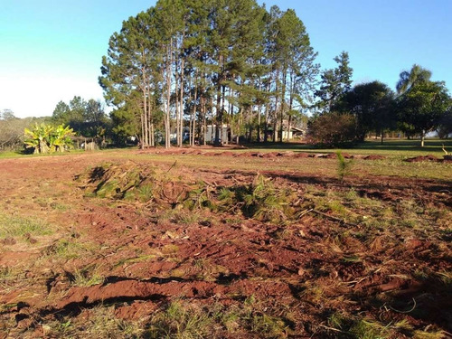 Imagen 6 de 7 de Vendo Lotes Bº Ecologico, Obera - Rn
