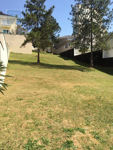 Imagem 2 de 3 de Terreno A Venda No Bairro Alphaville Residencial Plus Em - 407-1