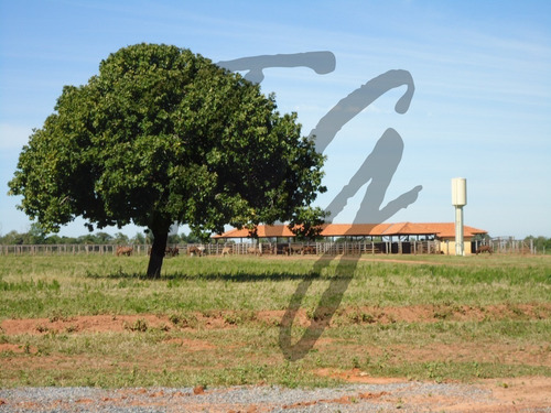 Imagem 8 de 19 de Fazenda - Fa00002 - 69828253