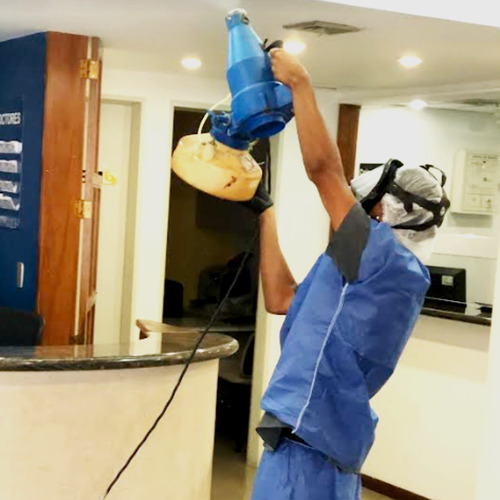 Imagen 7 de 10 de Fumigación Profesional Control De Plagas Exterminio Abejas