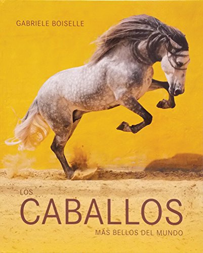 Libro Caballos Mas Bellos Del Mundo (cartone) - Boiselle Gab