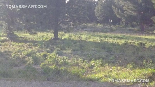 Imagen 2 de 10 de Lote En Country Pinar Del Sol, Bariloche