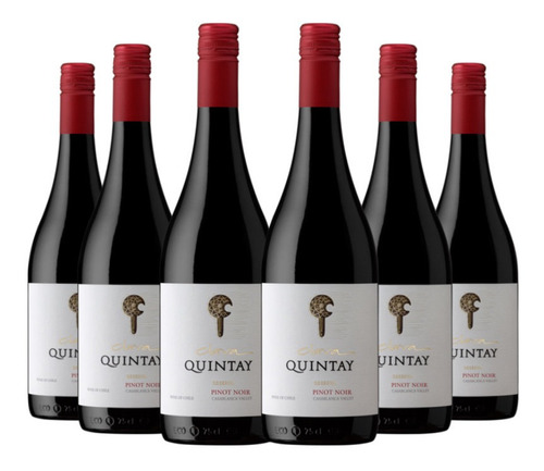 6 Vinos Quintay Clava Pinot Noir