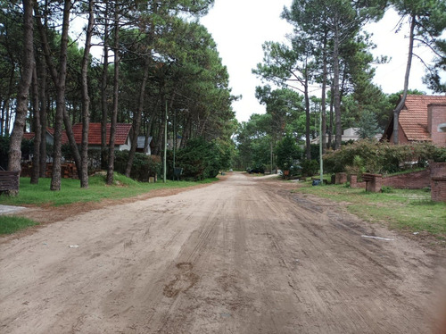 Imagen 5 de 8 de Cod 400 - Lote Artesanal Multifamiliar Rivadavia