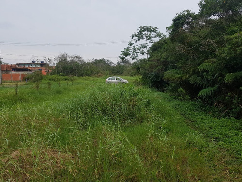 Imagem 1 de 4 de Terreno No Jardim Comendador Em Itanhaém, Com 280 M² De Área Total