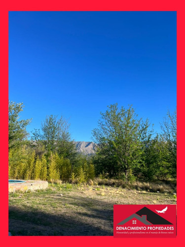 Excelente Oportunidad 5 Hectáreas Y 2 Casas S/ruta