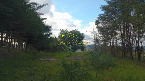 Imagem 5 de 30 de Terreno - Te00003 - 70671589