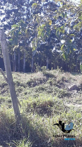 Imagem 7 de 8 de Rural Chacara Com 1 Quarto - 544491-v