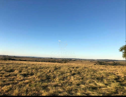 Imagen 6 de 29 de Campo En Jose Ignacio - Jose Ignacio