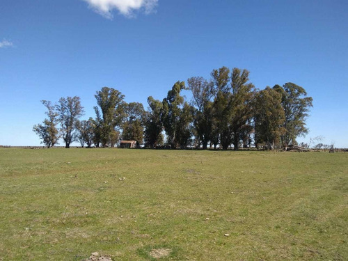 Vendo Campo De 226 Ha