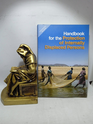 Manual De La Protección De Desplazados Internos - Ingles