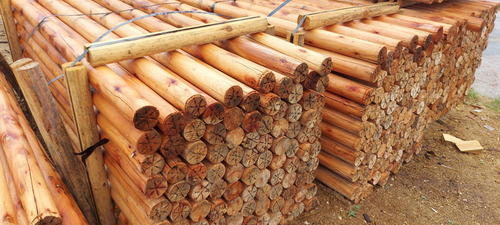 Imagen 1 de 5 de Polines De Eucalipto De 10 X 260