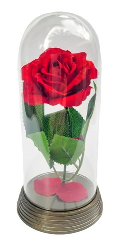 Kit 12 Cúpulas Médias A Bela E A Fera A Rosa Encantada