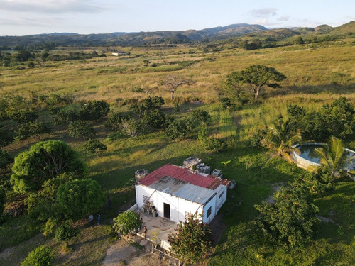 Imagen 23 de 24 de Granja En Venta Yaritagua 12 Hectareas Cod. 23-17577