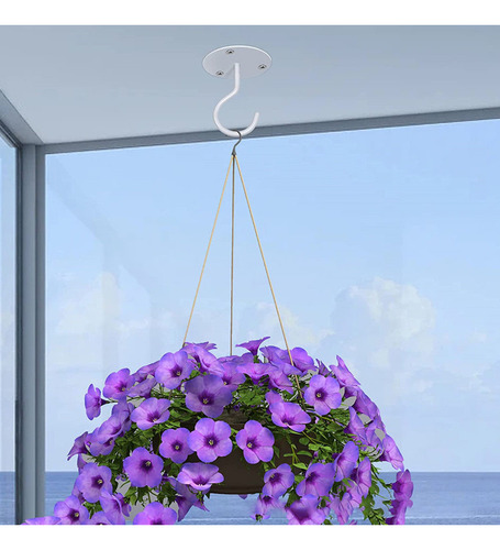 Gancho Colgante Para Orquídeas, Ganchos Para Colgar Al Aire