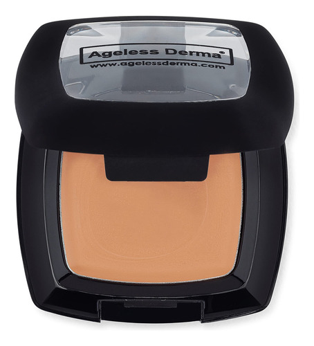 Ageless Derma Camoufleur Mineral Makeup Under Eye Concealer