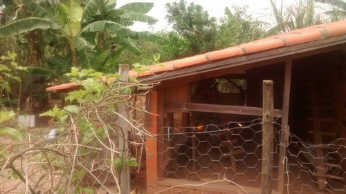 Imagem 6 de 12 de Chácara À Venda, 1000 M² Por R$ 450.000,00 - Cardeal - Elias Fausto/sp - Ch0010
