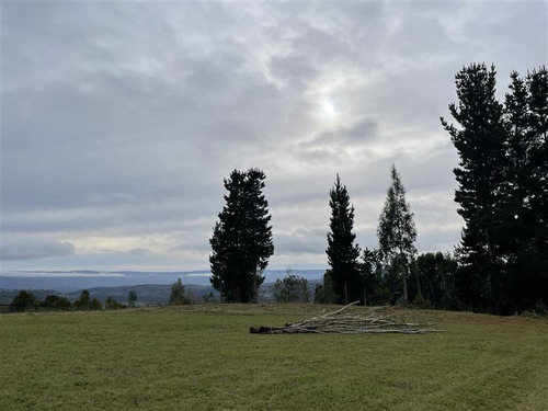Parcela Con Agua De Pozo En Venta- Fresia- Puerto Varas