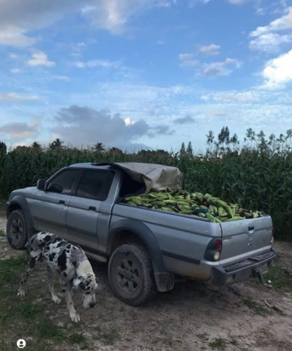 Sitio Com 9.3 Hectares Com Irrigação, Muita Água.