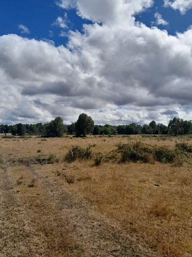Venta De Parcelas O Terreno En Panguipulli A 9k Del Lago