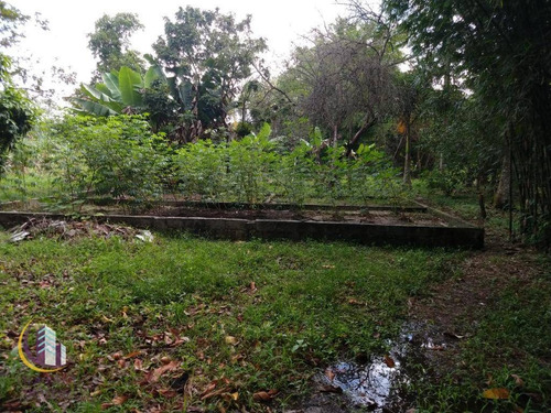 Chácara Com 2 Dormitórios À Venda, 3300 M² Por R$ 150.000 - Rocil - Iguape/sp - Ch0031