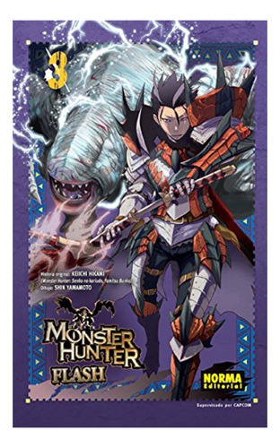 Libro Monster Hunter Flash! 3