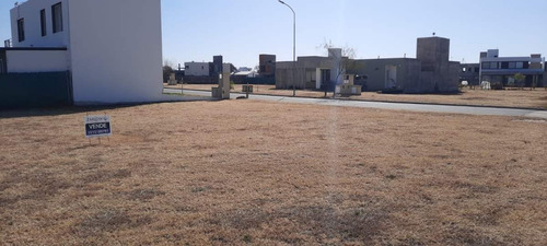 Imagen 3 de 7 de Parterres - Siete Soles 900m2 Central