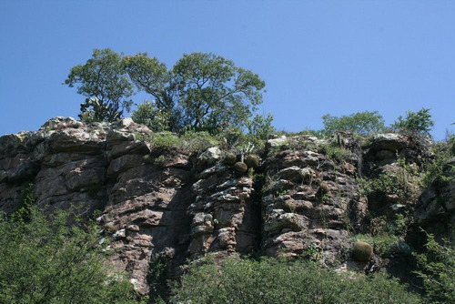 Imagen 8 de 30 de Terreno Campestre En Venta En Palo Colorado - San Miguel De