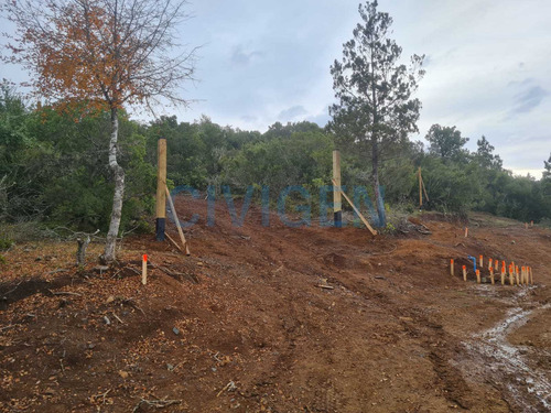 Tranquila Parcela 0,5ha Tranquilidad (92297)