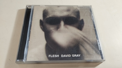 David Gray - Flesh - Made In Usa 