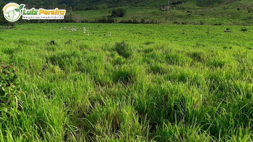 Imagem 5 de 8 de Fazenda À Venda Em Dois Irmãos Do Buriti - Ms - 375 Hectares - 2132